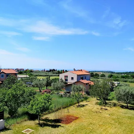 7 Palmi Novigrad