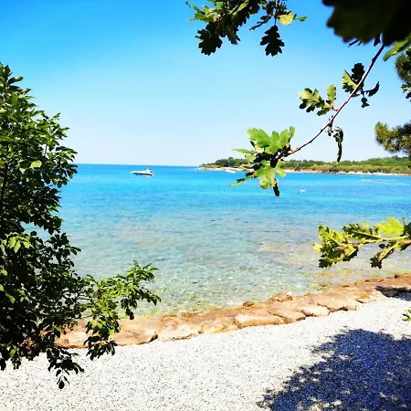 7 Palmi Novigrad *