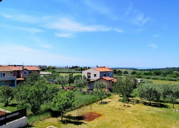 7 Palmi Novigrad
