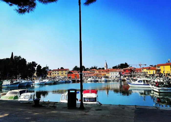 7 Palmi Novigrad *