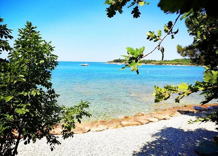 7 Palmi Novigrad *
