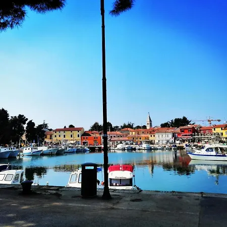 7 Palmi Novigrad *