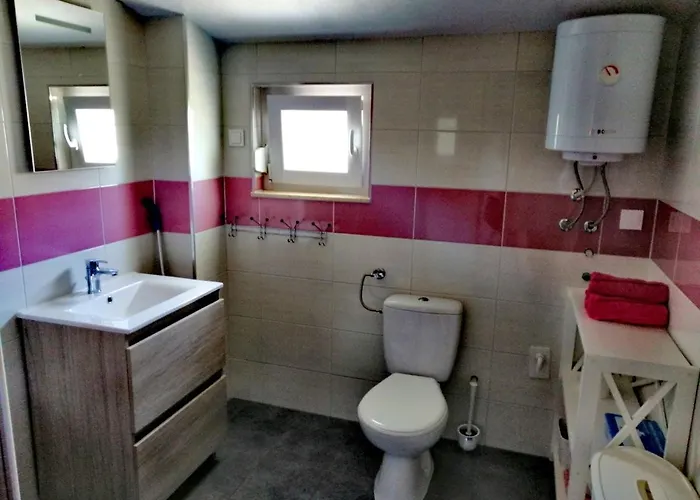 7 Palmi Novigrad Novigrad Istria