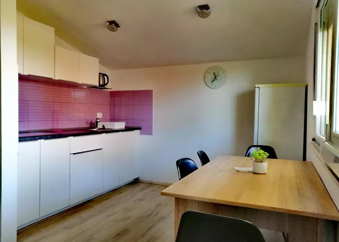 7 Palmi Novigrad Διαμέρισμα