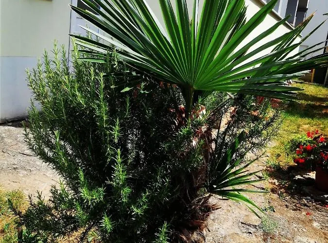 7 Palmi Novigrad Διαμέρισμα Novigrad Istria